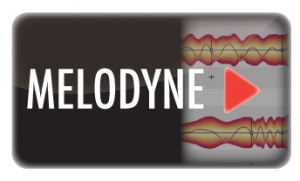 MELODYNE 101 - 3개월
