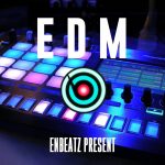 EDM 샘플팩 Vol.1