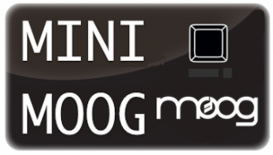 MINI MOOG Model D 코스 101 – 3개월