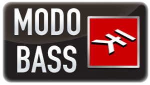 Modo Bass 101 – 3개월