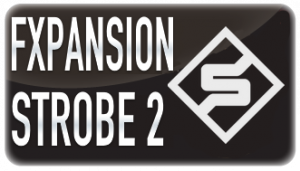 STROBE 2 코스 101 – 3개월